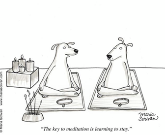 learning to stay