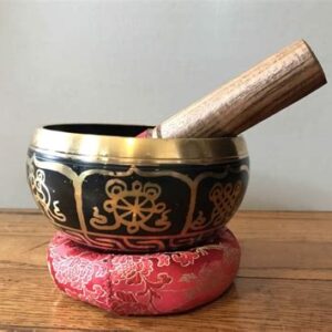 Introduction to Insight Meditation Practice - Saturday November 22nd